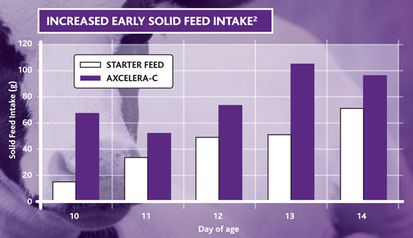 Axcelera-C boosts solid feed intakes