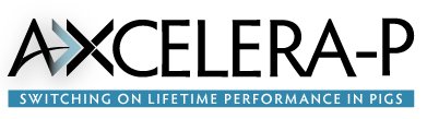 Axcelera-P logo